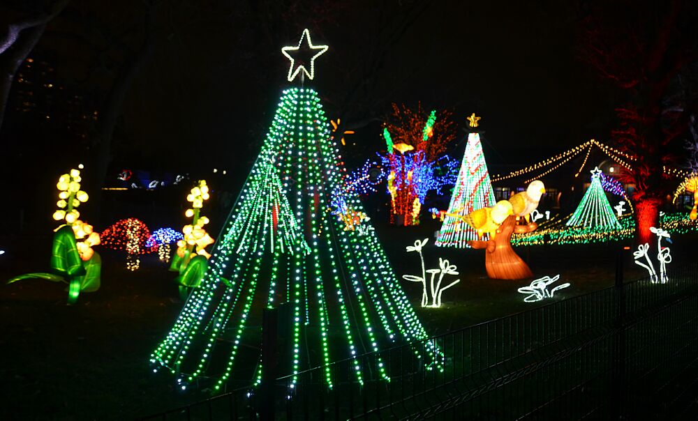 Zoo Lights_05